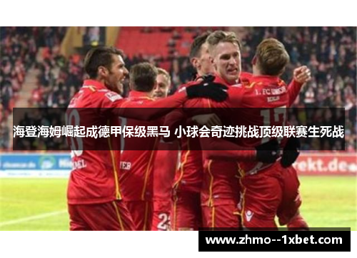 海登海姆崛起成德甲保级黑马 小球会奇迹挑战顶级联赛生死战